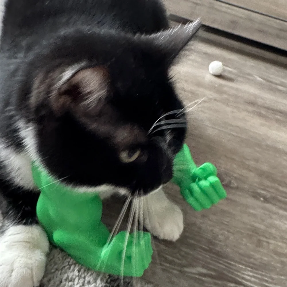 Hulk inspired Green Muscle Cat Costume